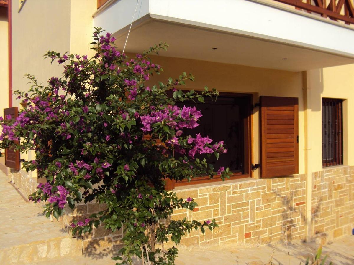 Marvelous Sea View Eco Apt Amolianí Exterior foto